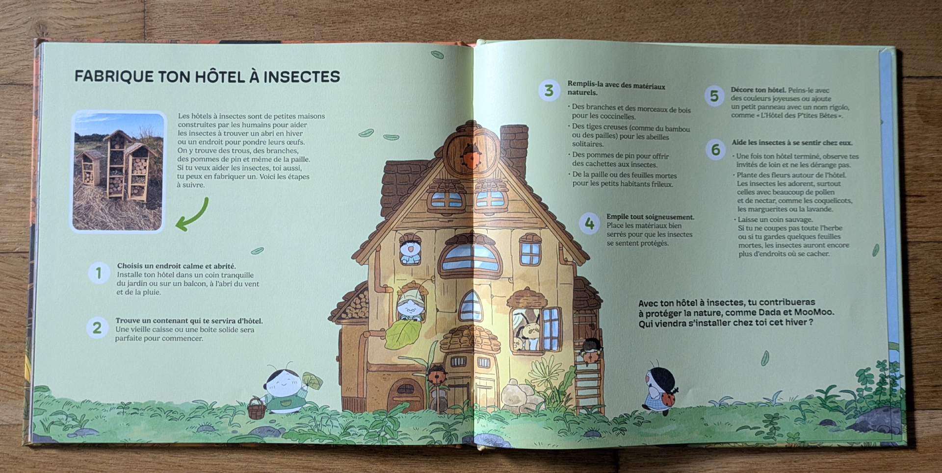 Des illustrations magnifiques