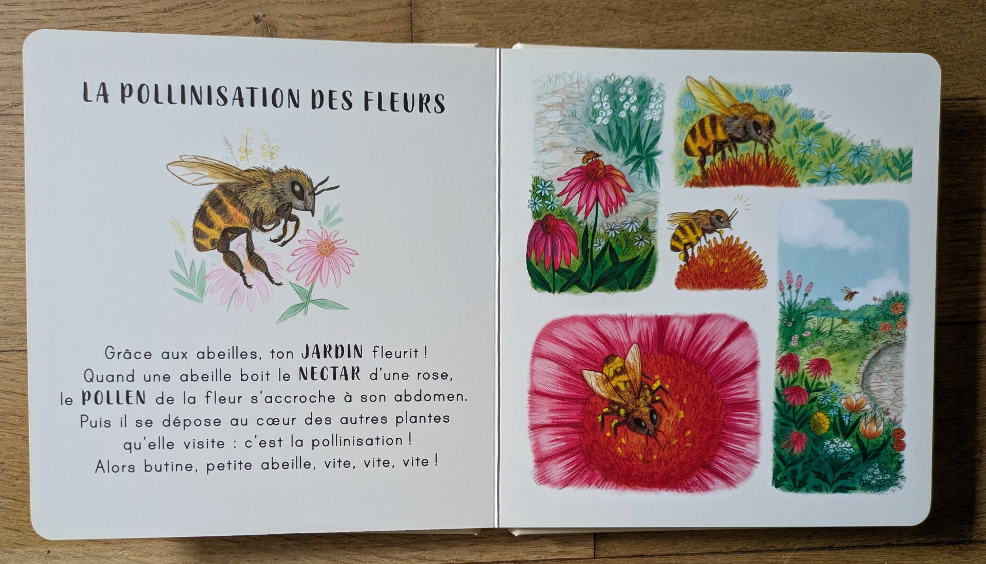Des illustrations très jolies