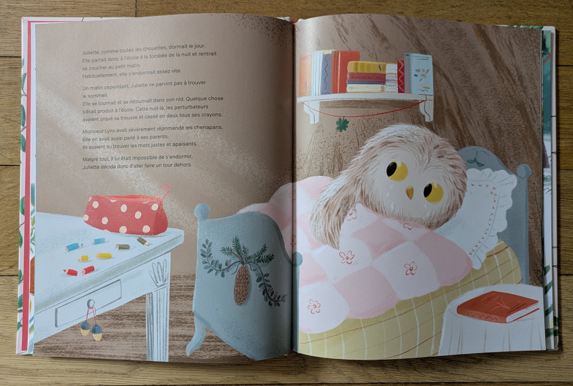 Des illustrations magnifiques