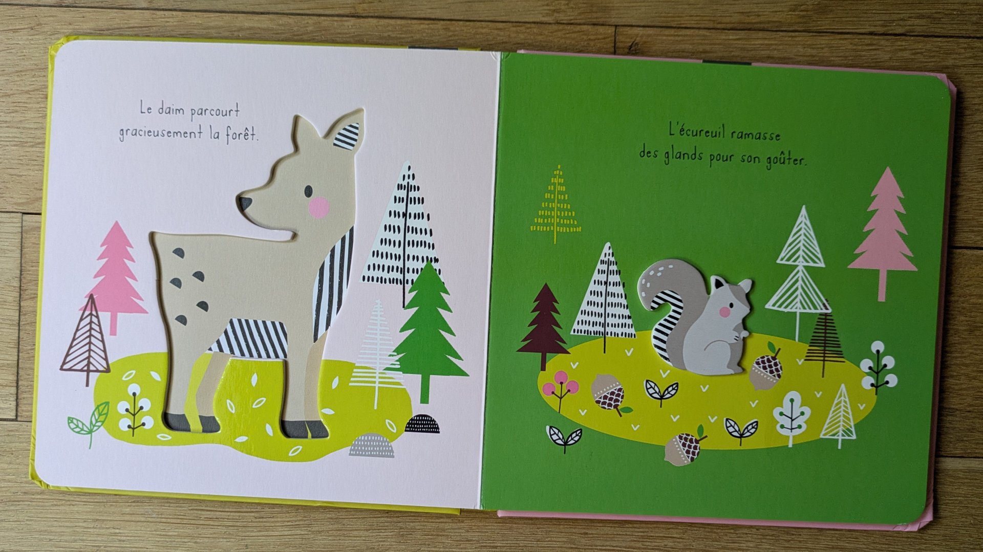 Des illustrations colorées