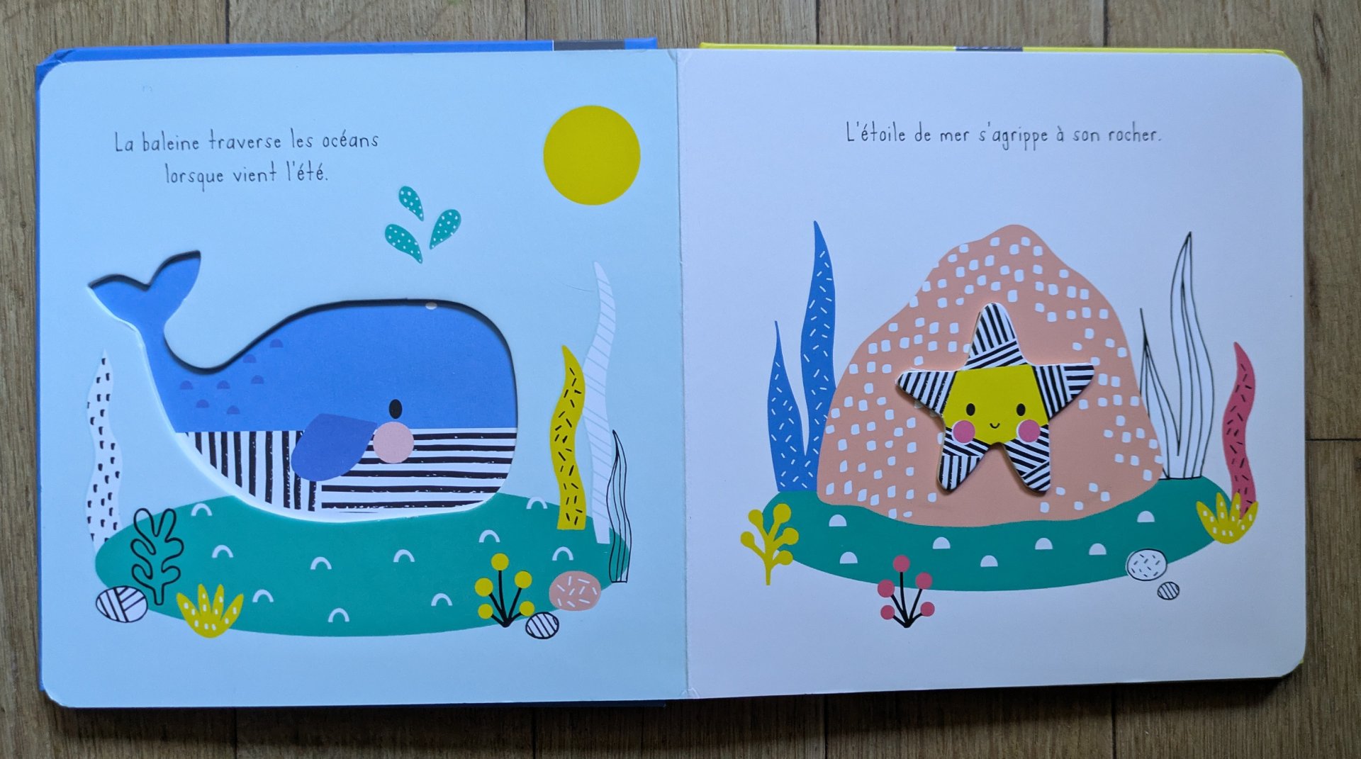 Des illustrations colorées