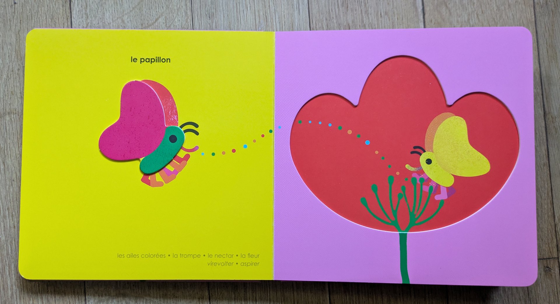 Des illustrations colorées