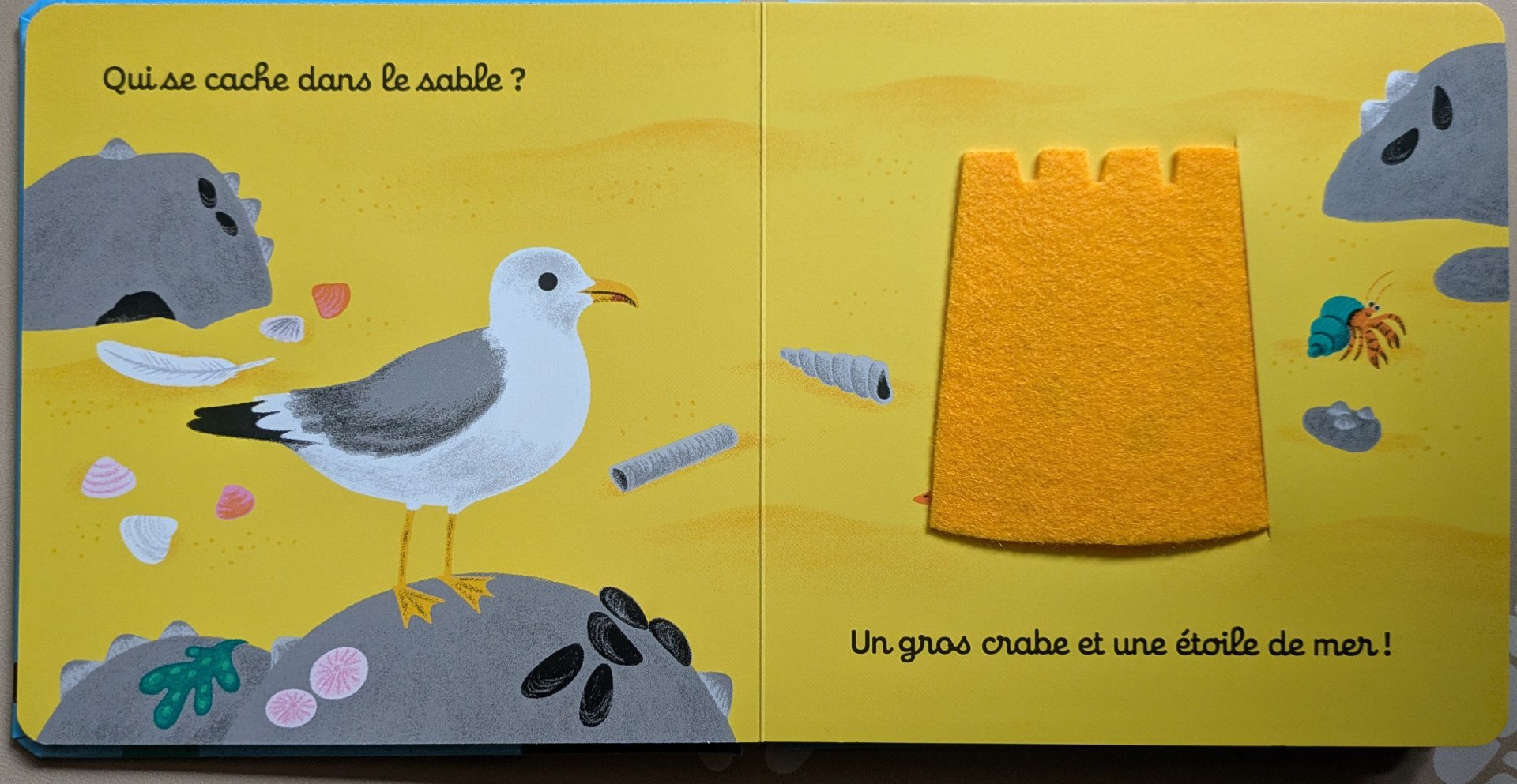 A l'intérieur du livre caché