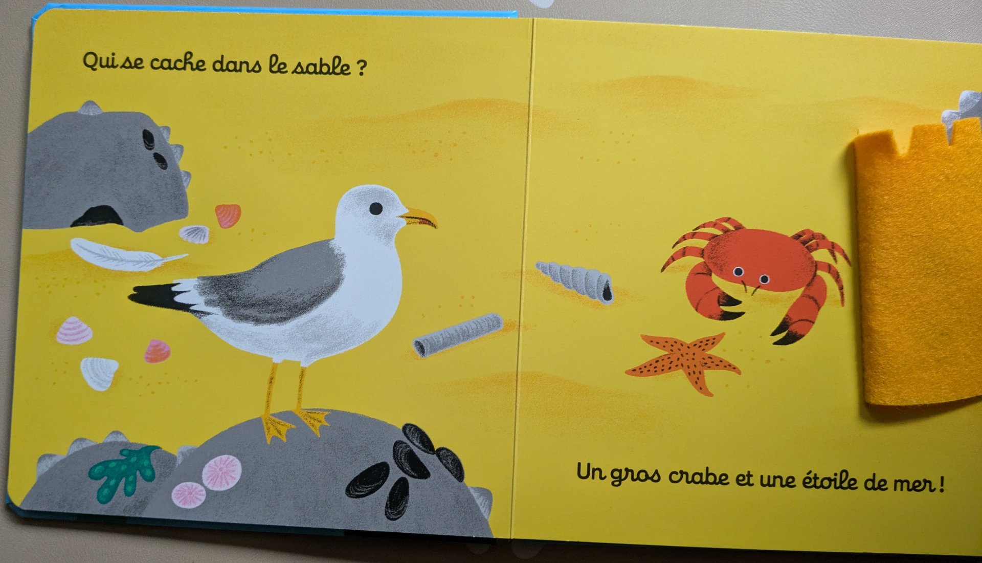 A l'intérieur du livre découvert