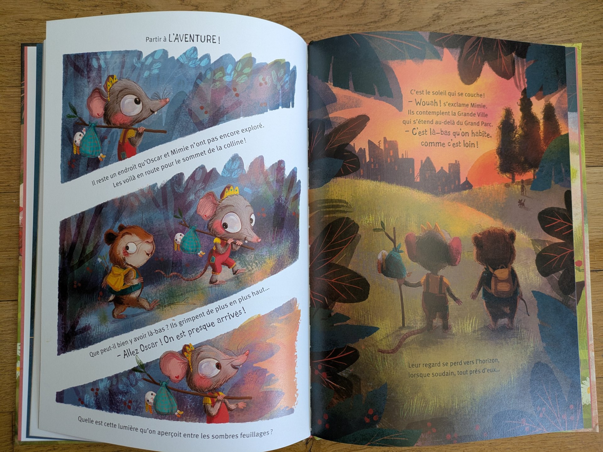 Des illustrations magnifiques