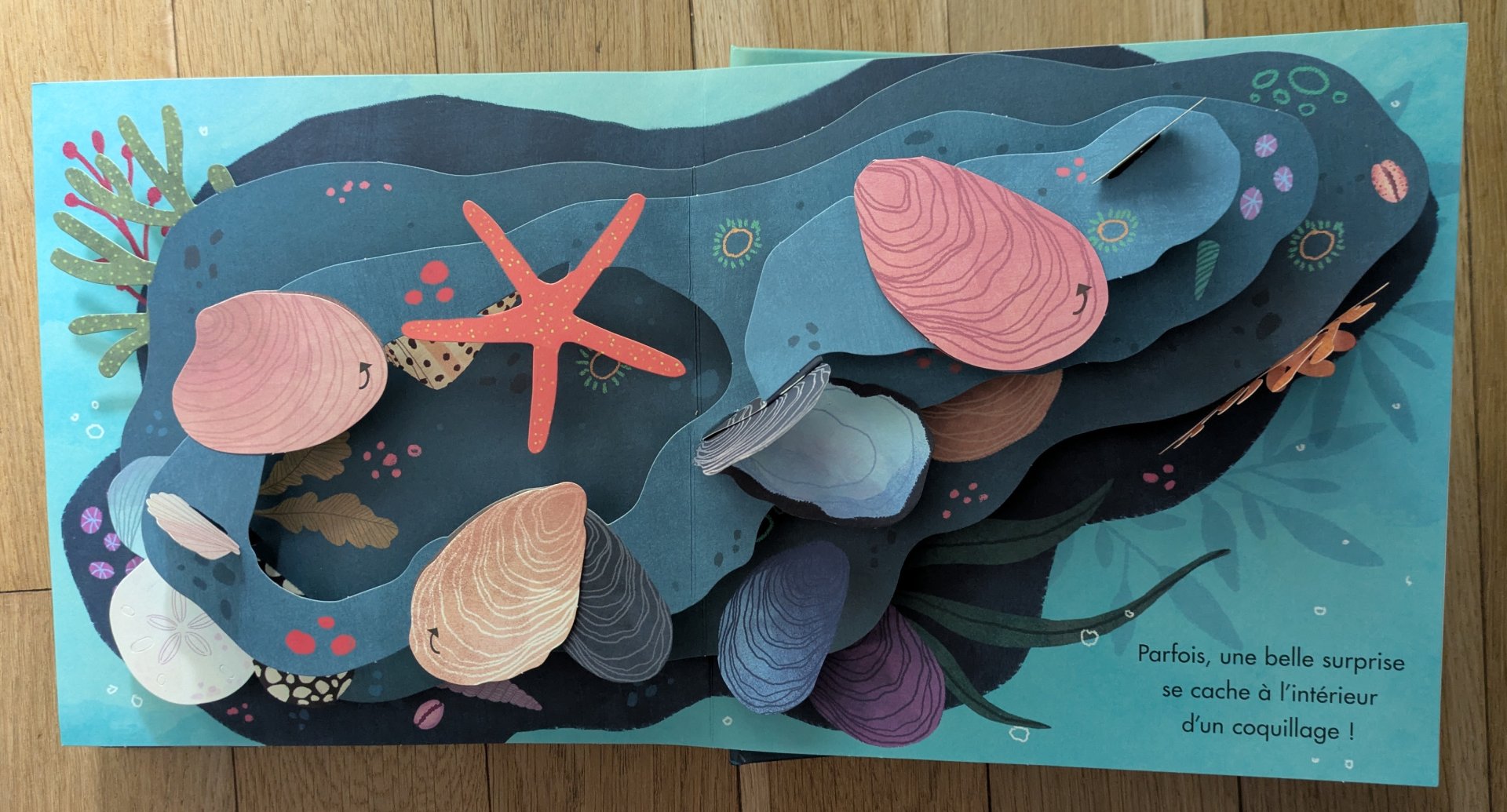 Des illustrations très colorées