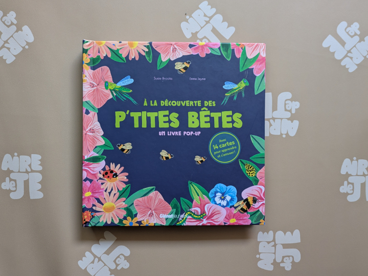 A la découverte des p'tites bêtes : Un livre pop-up de Susie Brooks et Emma Jayne