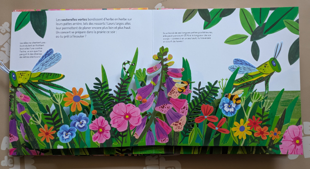 Des illustrations colorées