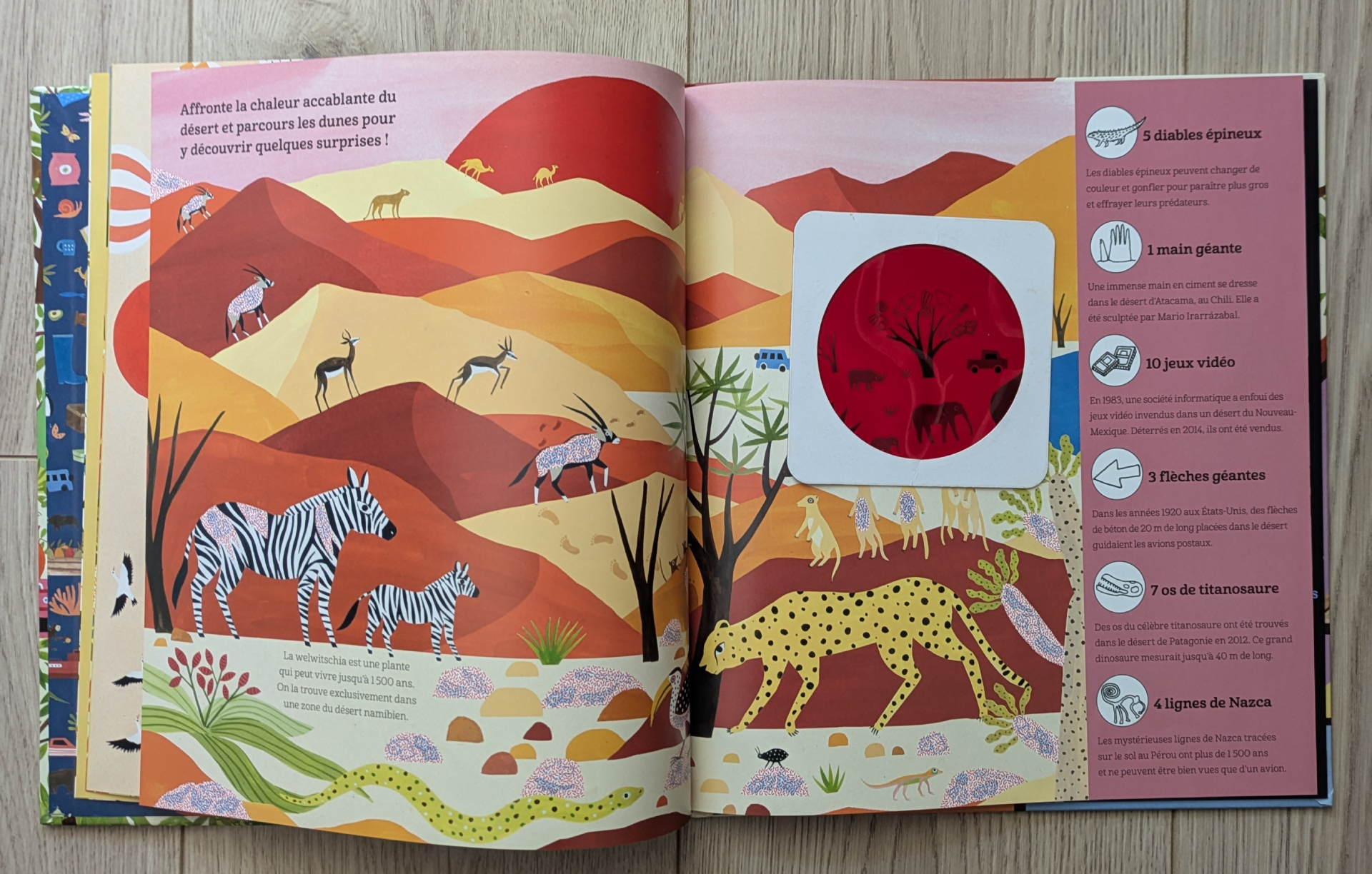 De très belles illustrations