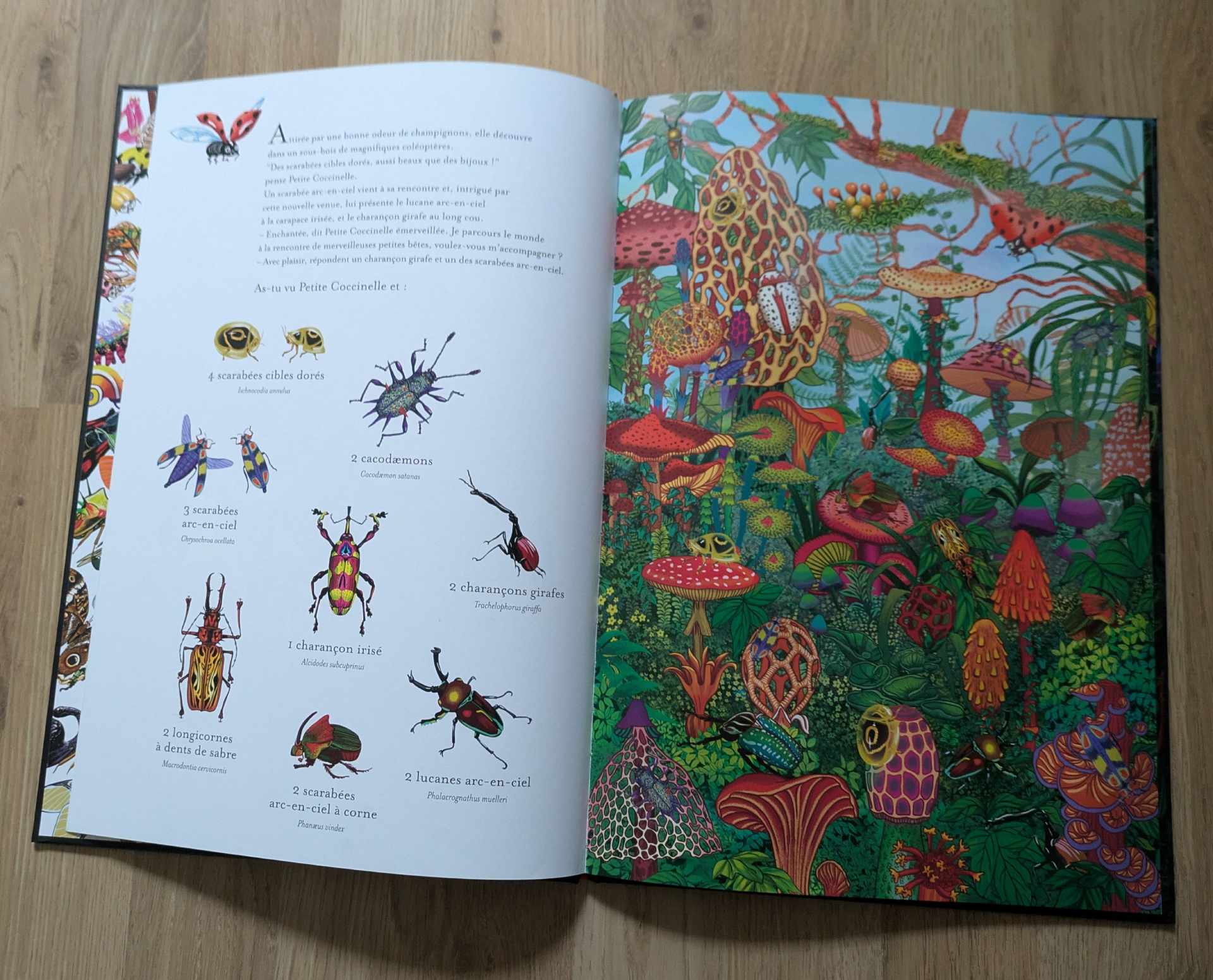 Des illustrations magnifiques