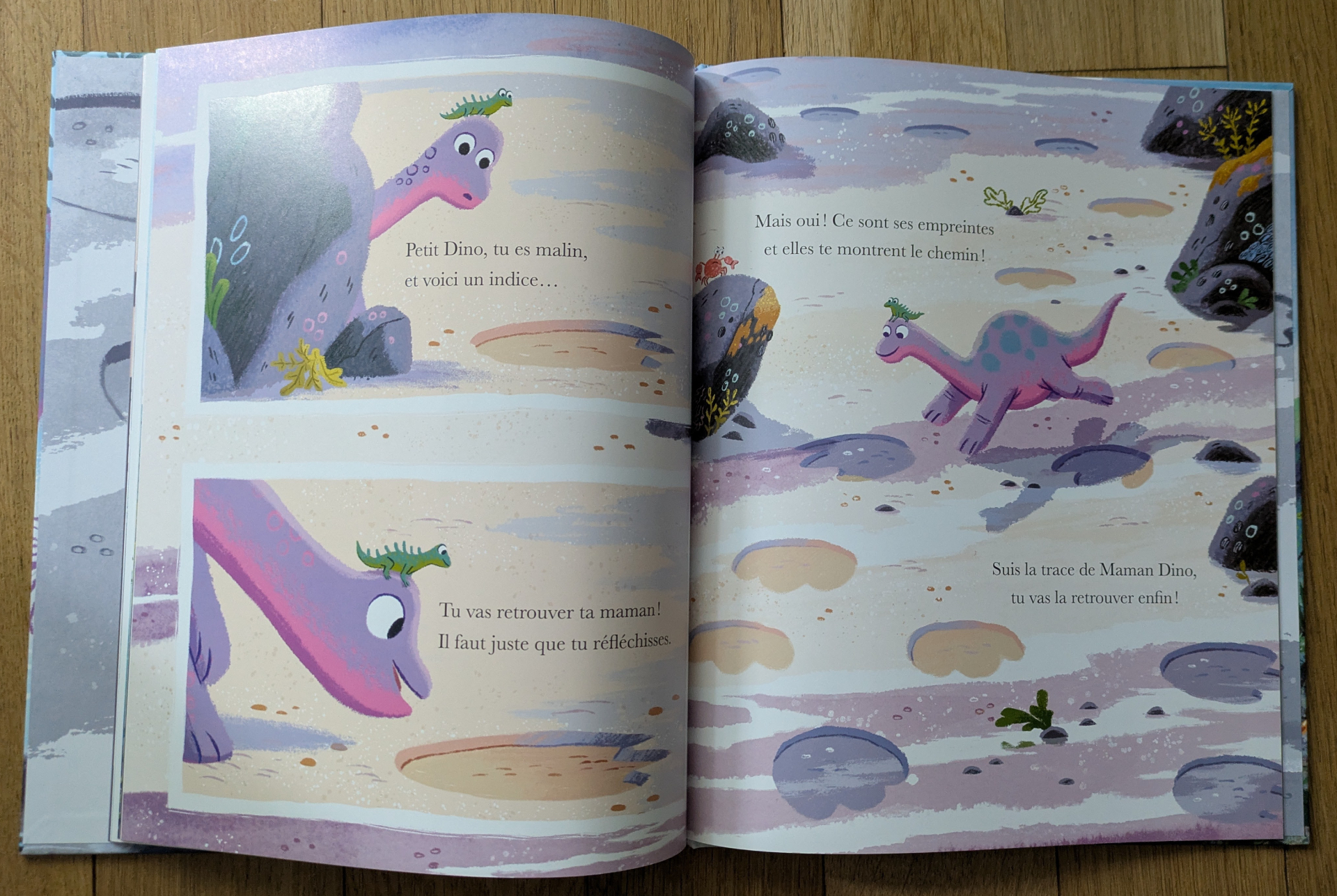 Des illustrations magnifiques