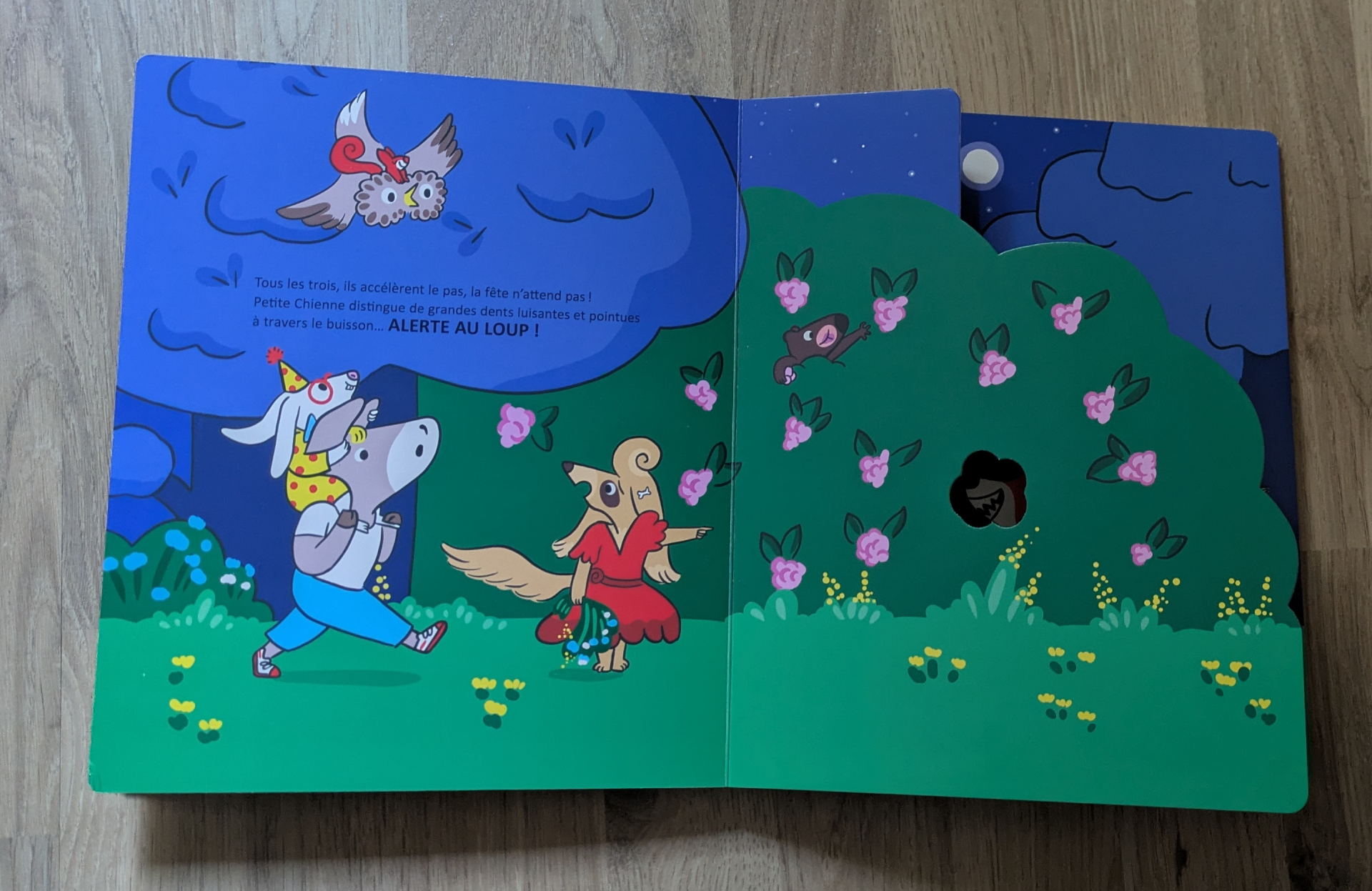 De très belles illustrations