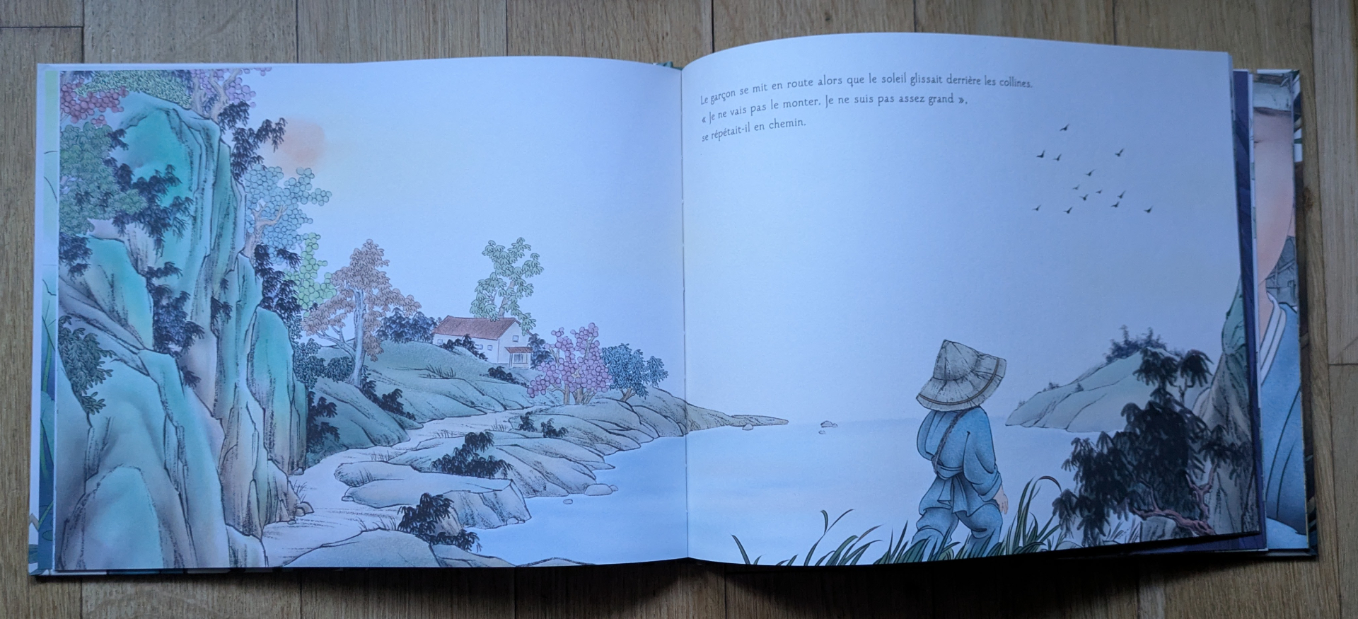 Des illustrations magnifiques