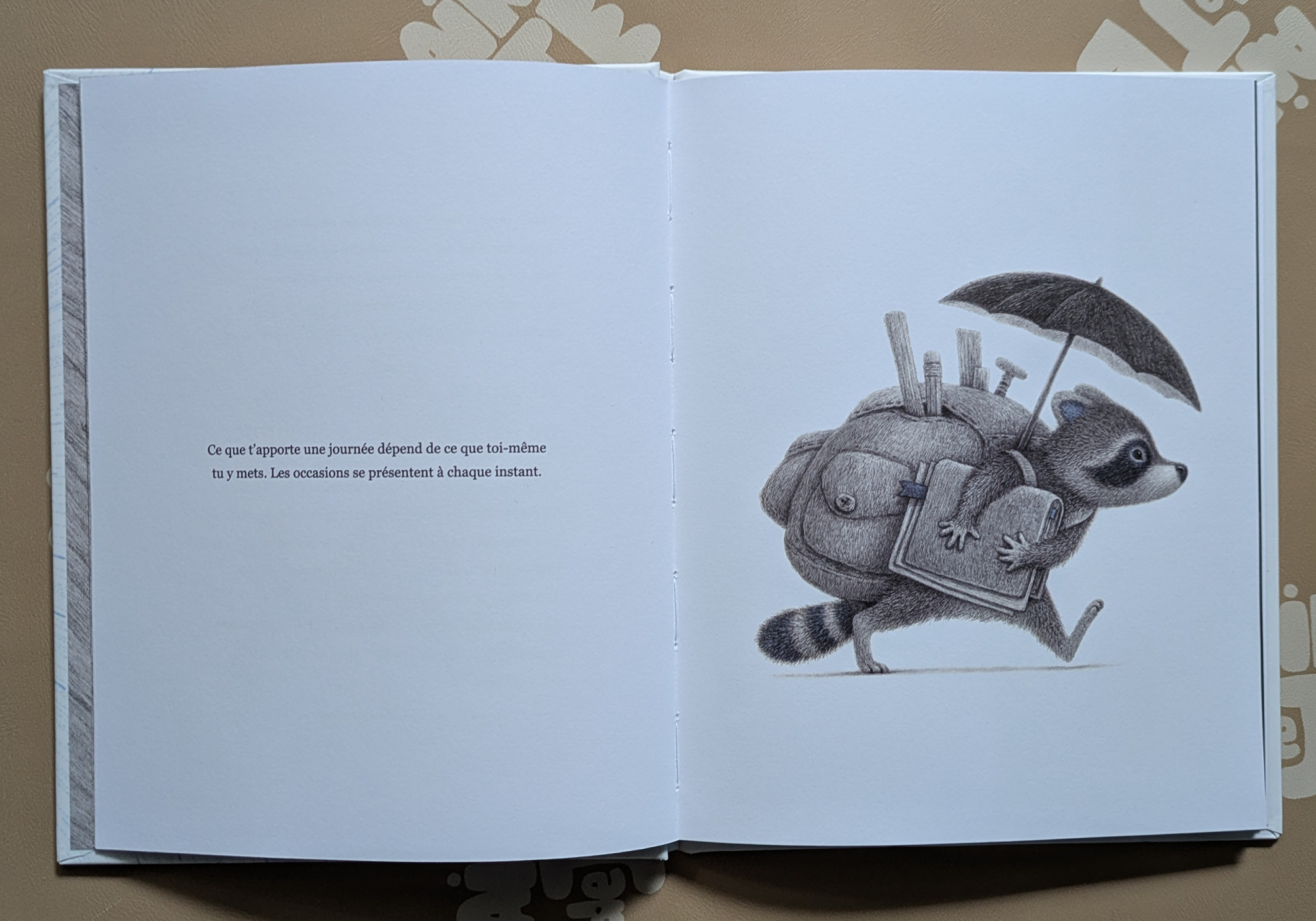 Des illustrations magnifiques
