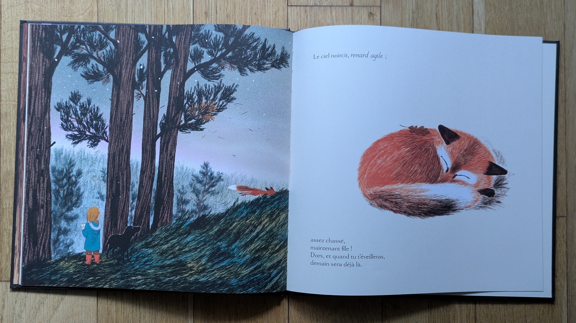 Des illustrations magnifiques