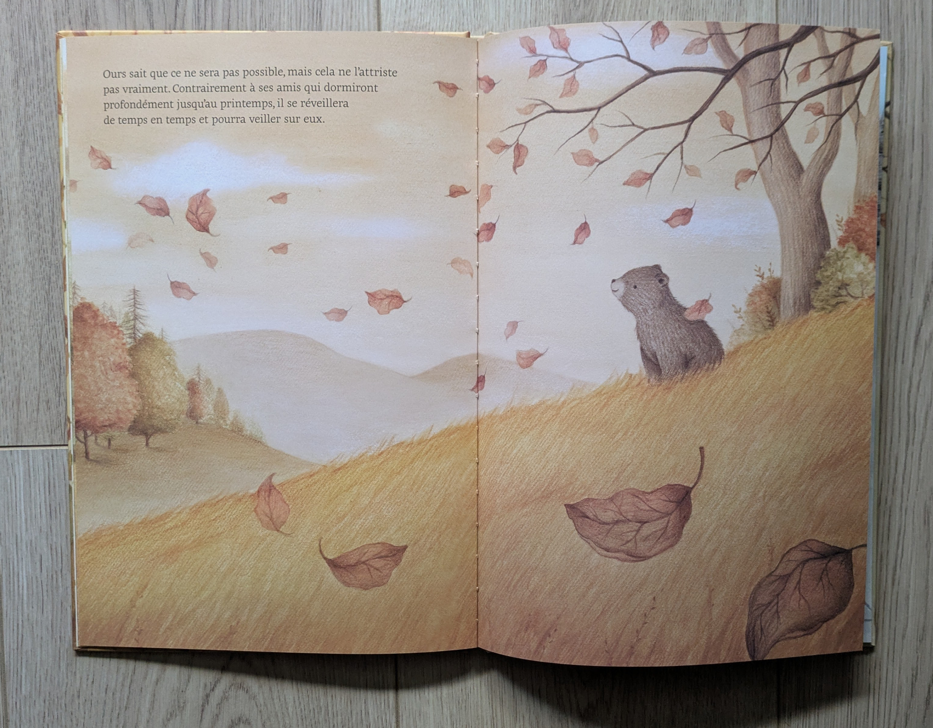 Des illustrations magnifiques