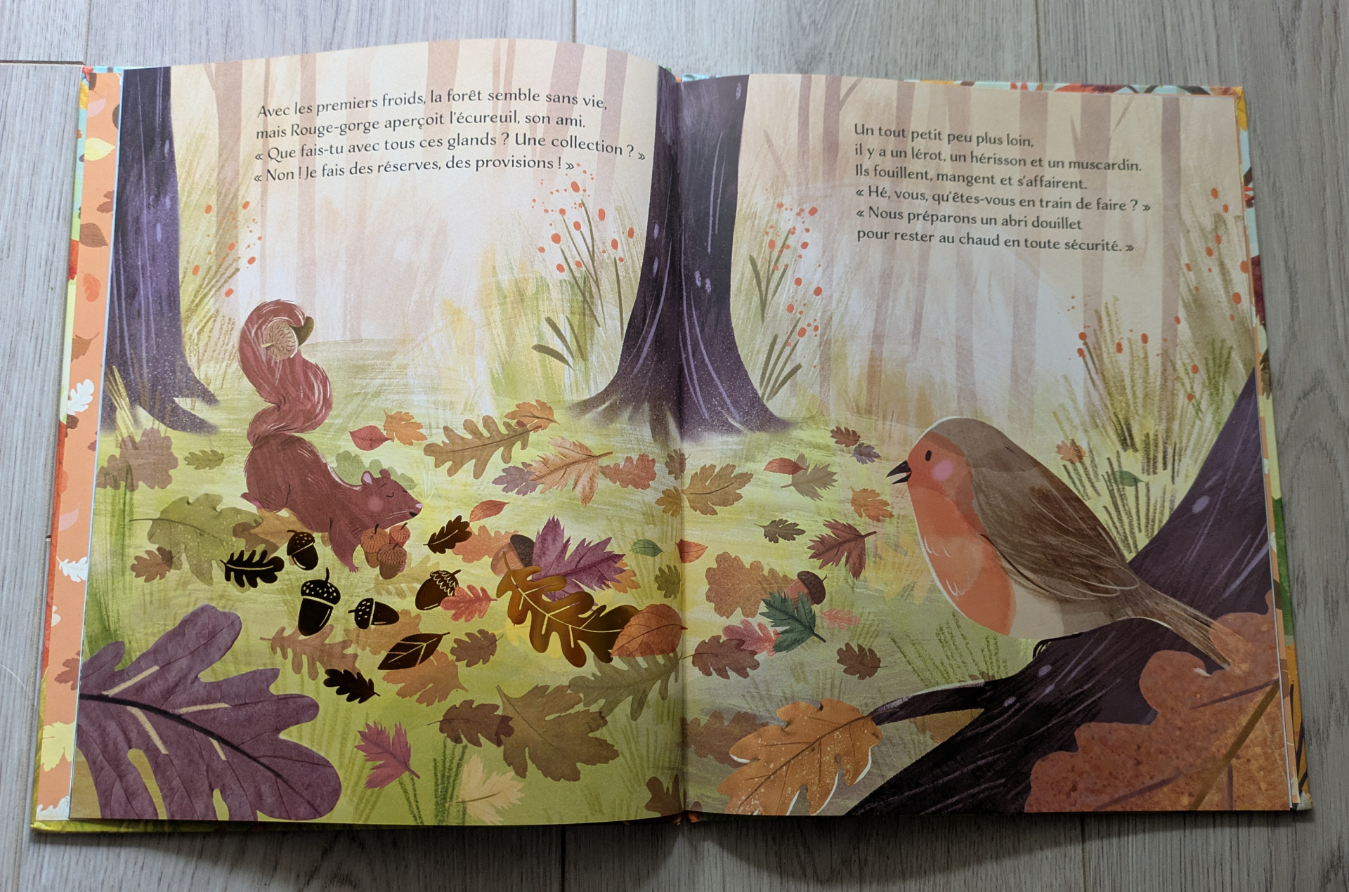 Des illustrations magnifiques