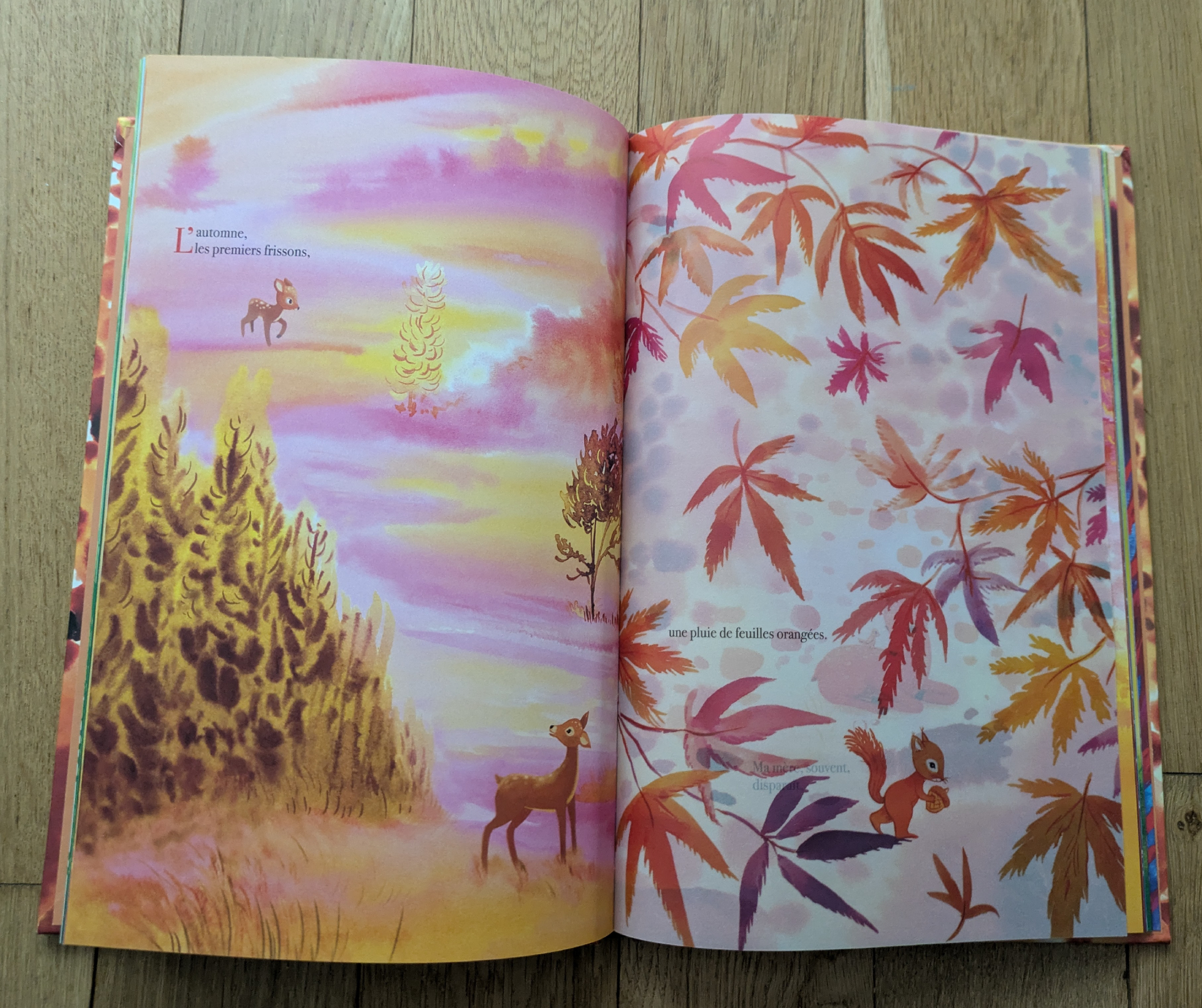 Des illustrations magnifiques sur des feuilles de calques