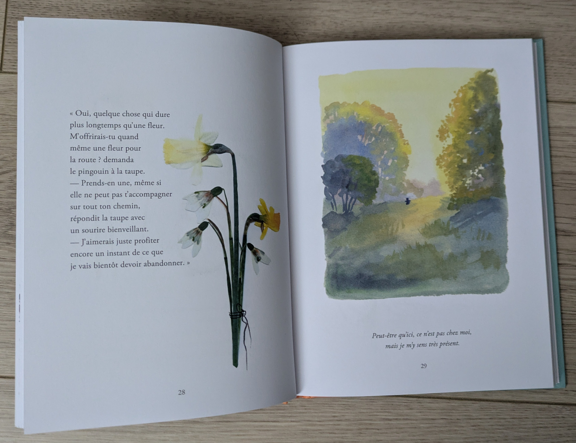 Des illustrations magnifiques