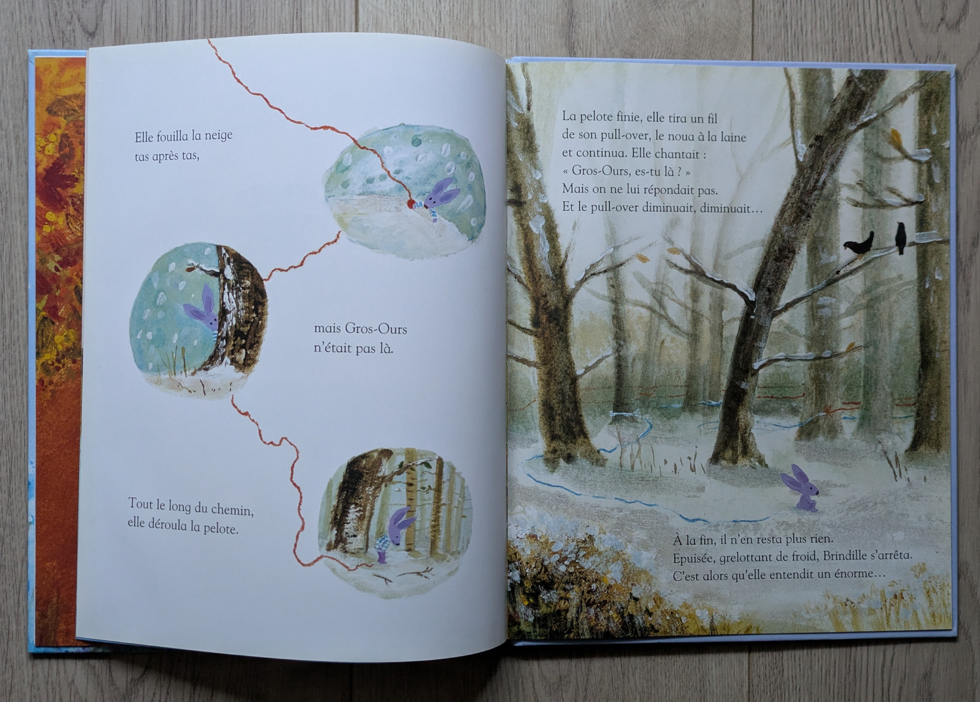 Des illustrations magnifiques