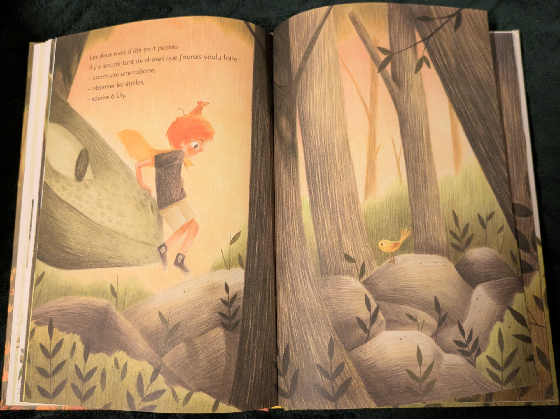 Des illustrations magnifiques