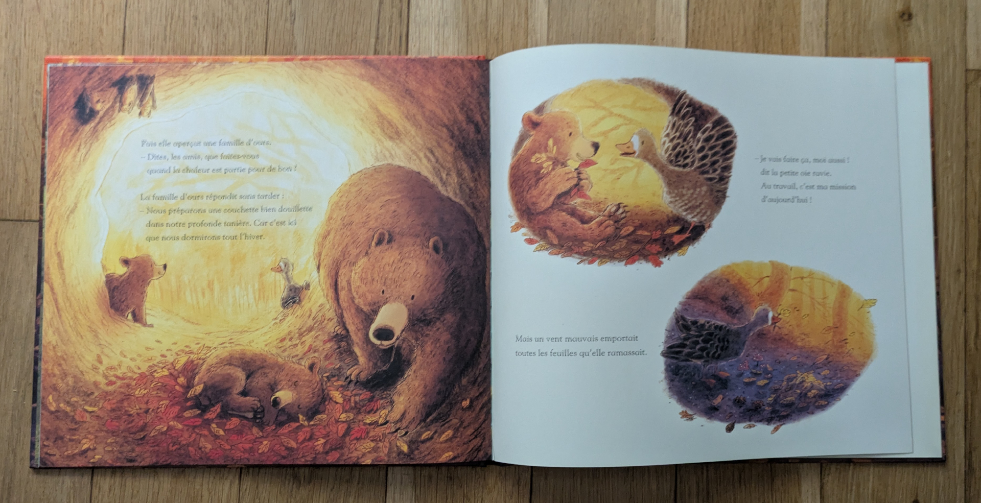 Des illustrations magnifiques