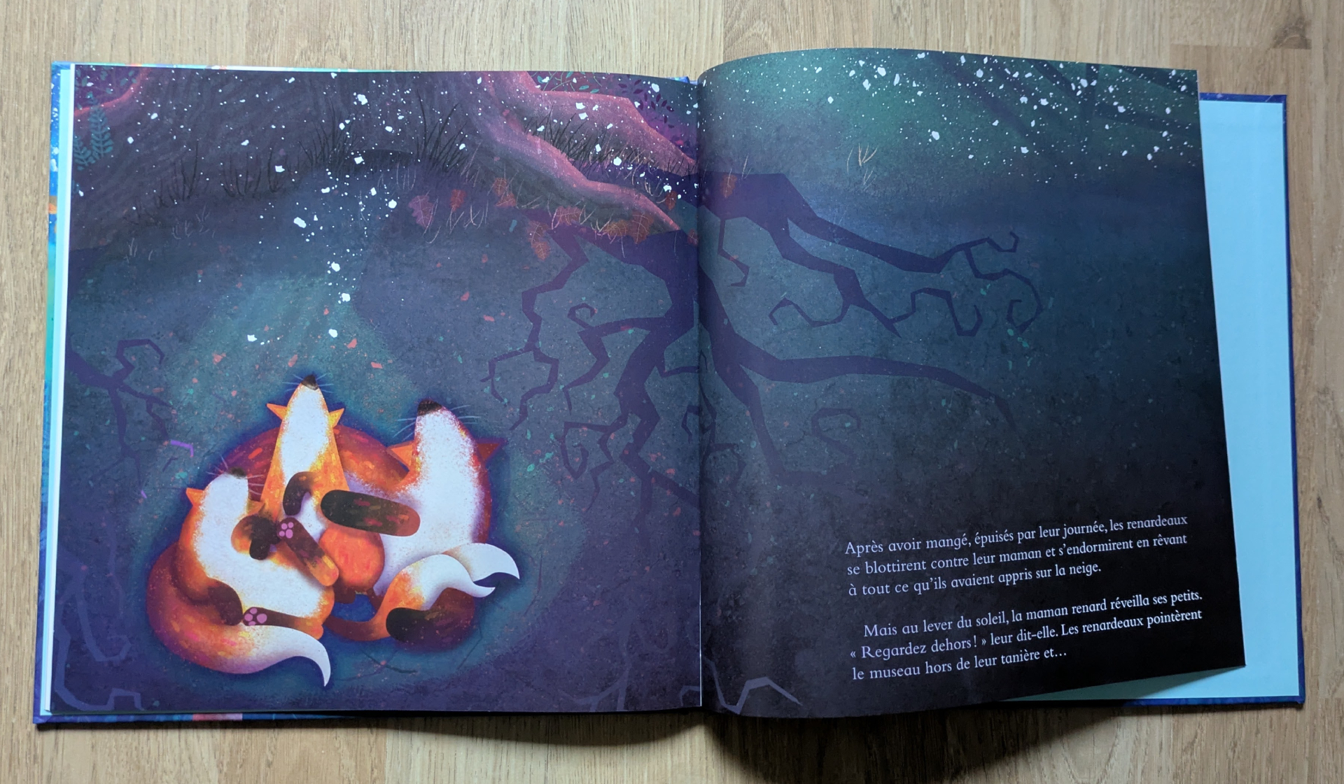 Des illustrations magnifiques