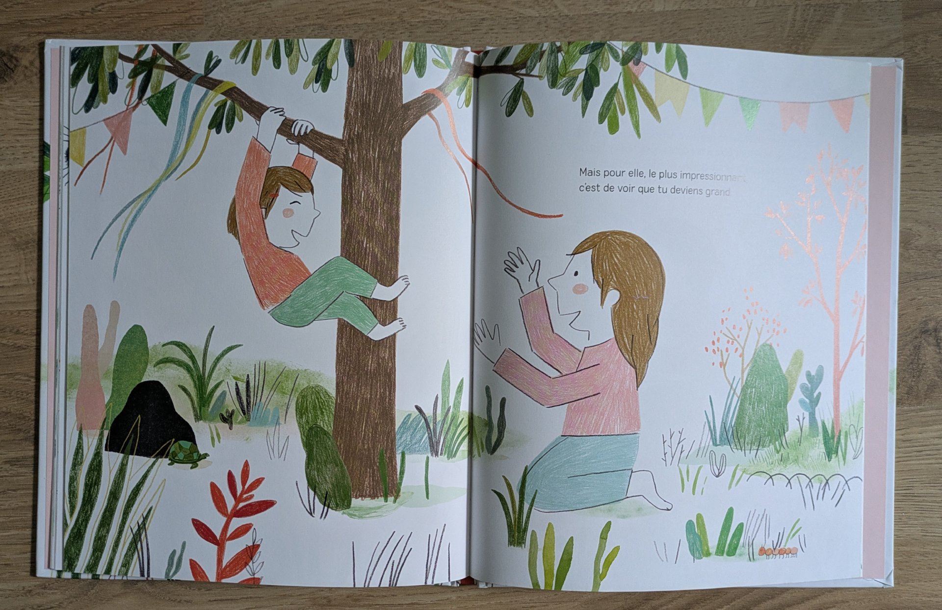 De belles illustrations 