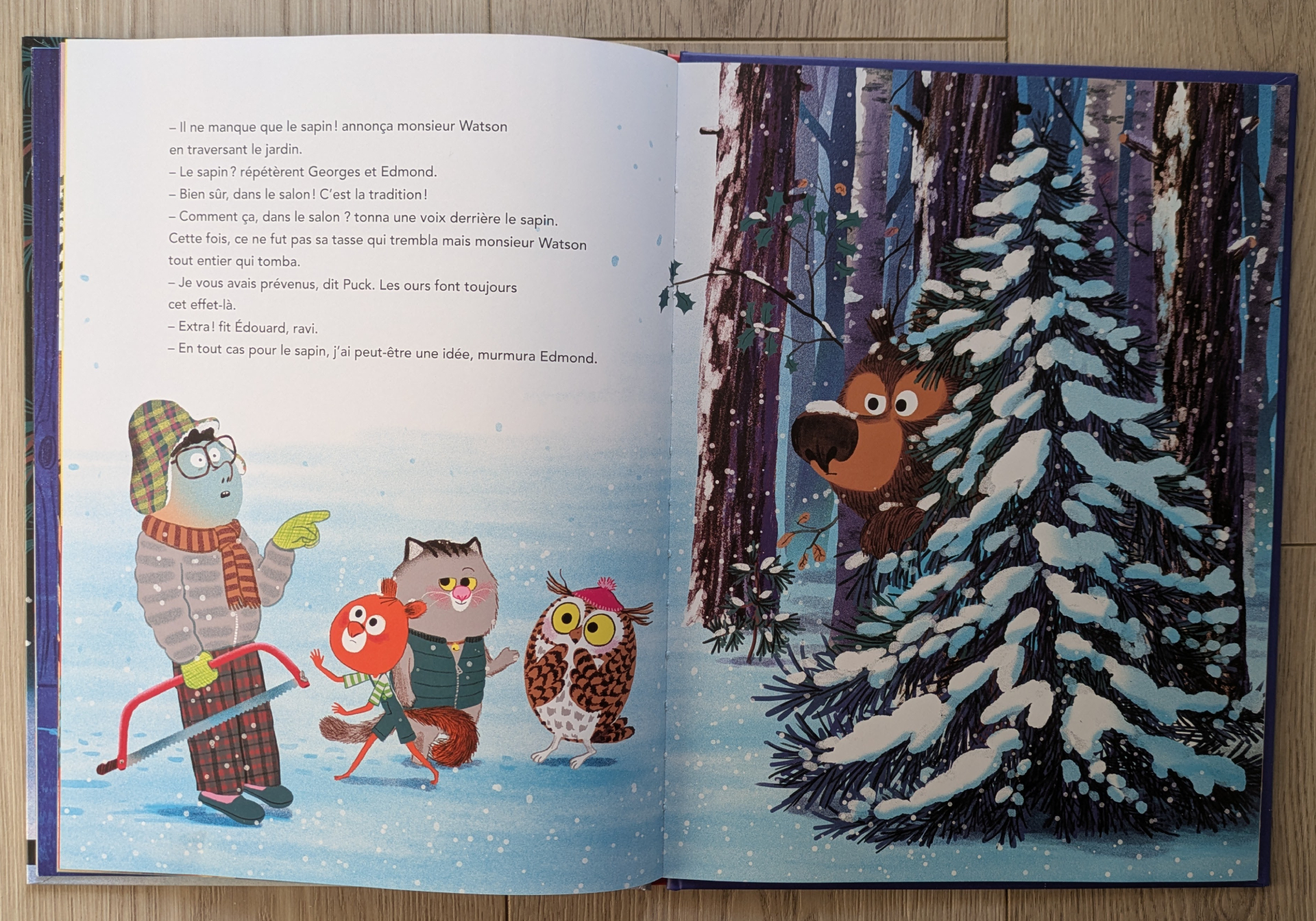 Des illustrations magnifiques