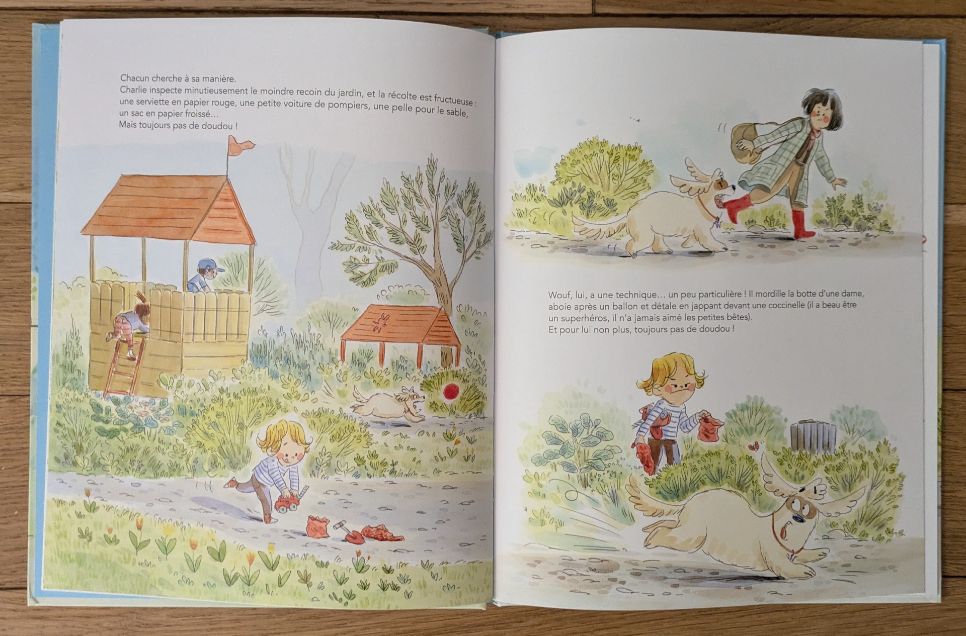 Des illustrations magnifiques