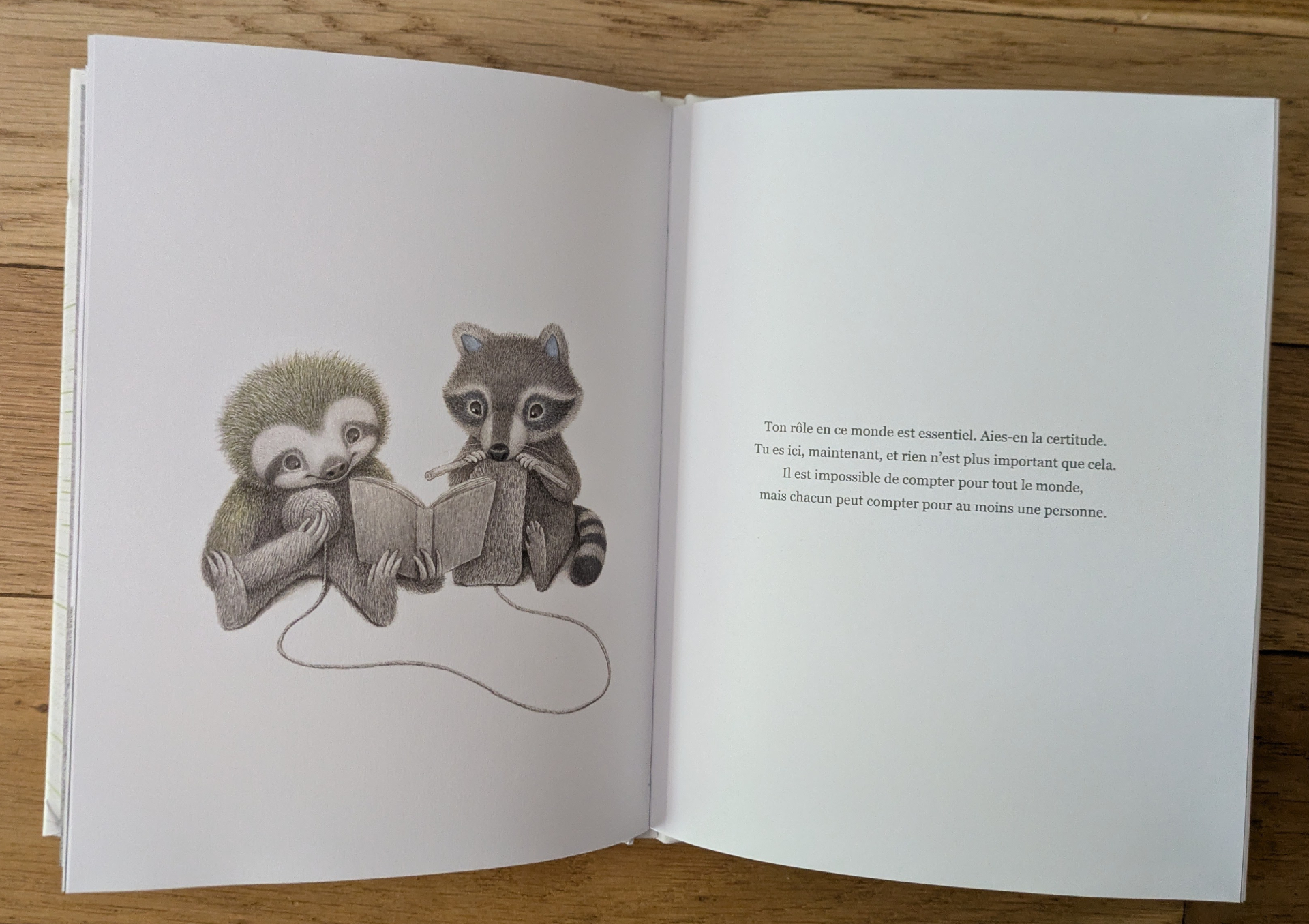 Des illustrations magnifiques