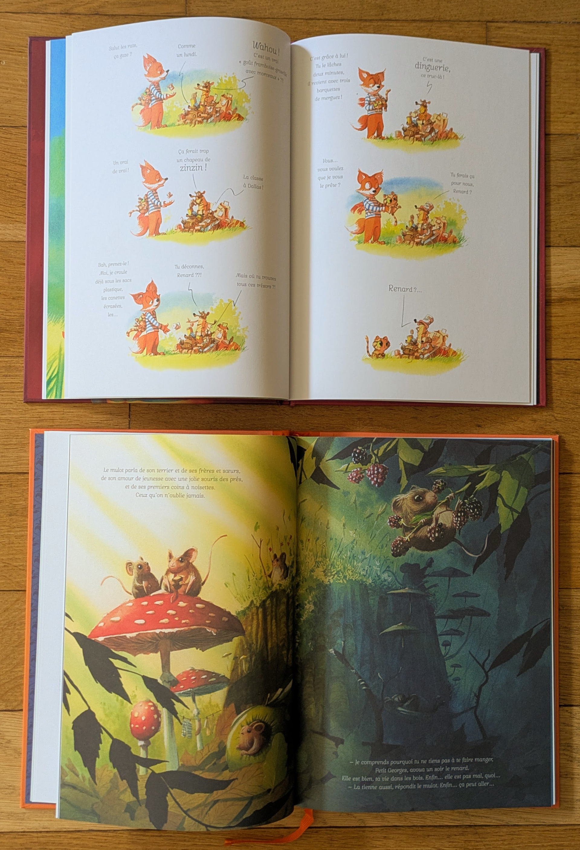 Des illustrations magnifiques