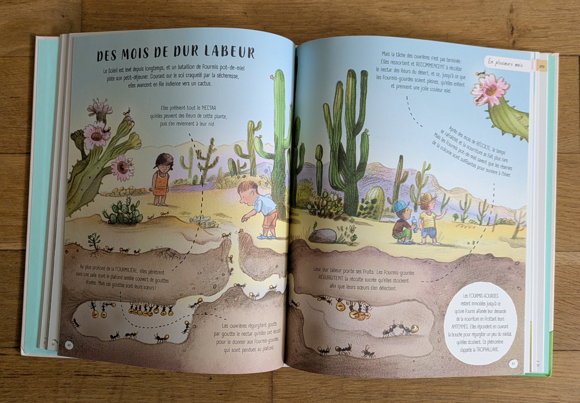 Des illustrations magnifiques