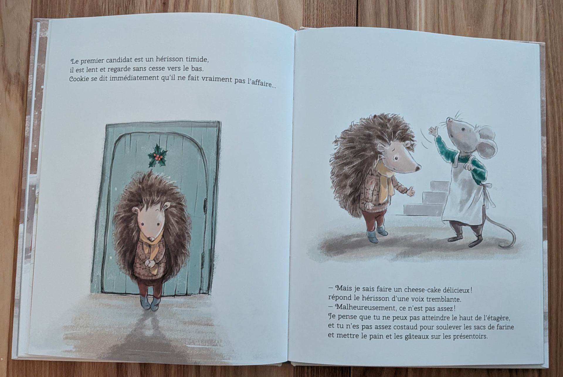 Des illustrations magnifiques