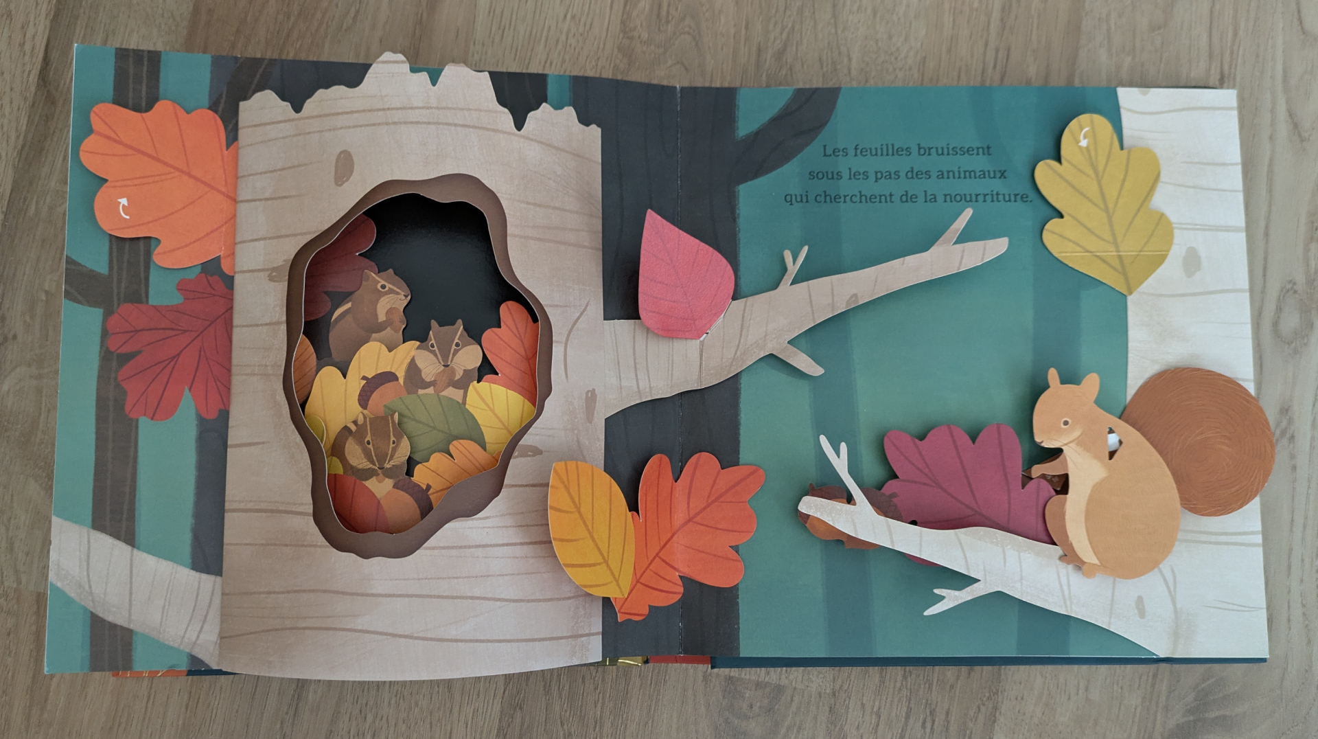 Des illustrations magnifiques