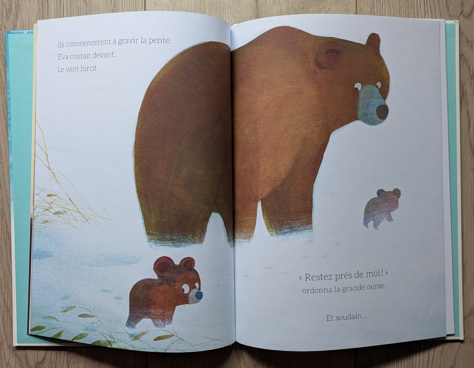 Des illustrations magnifiques