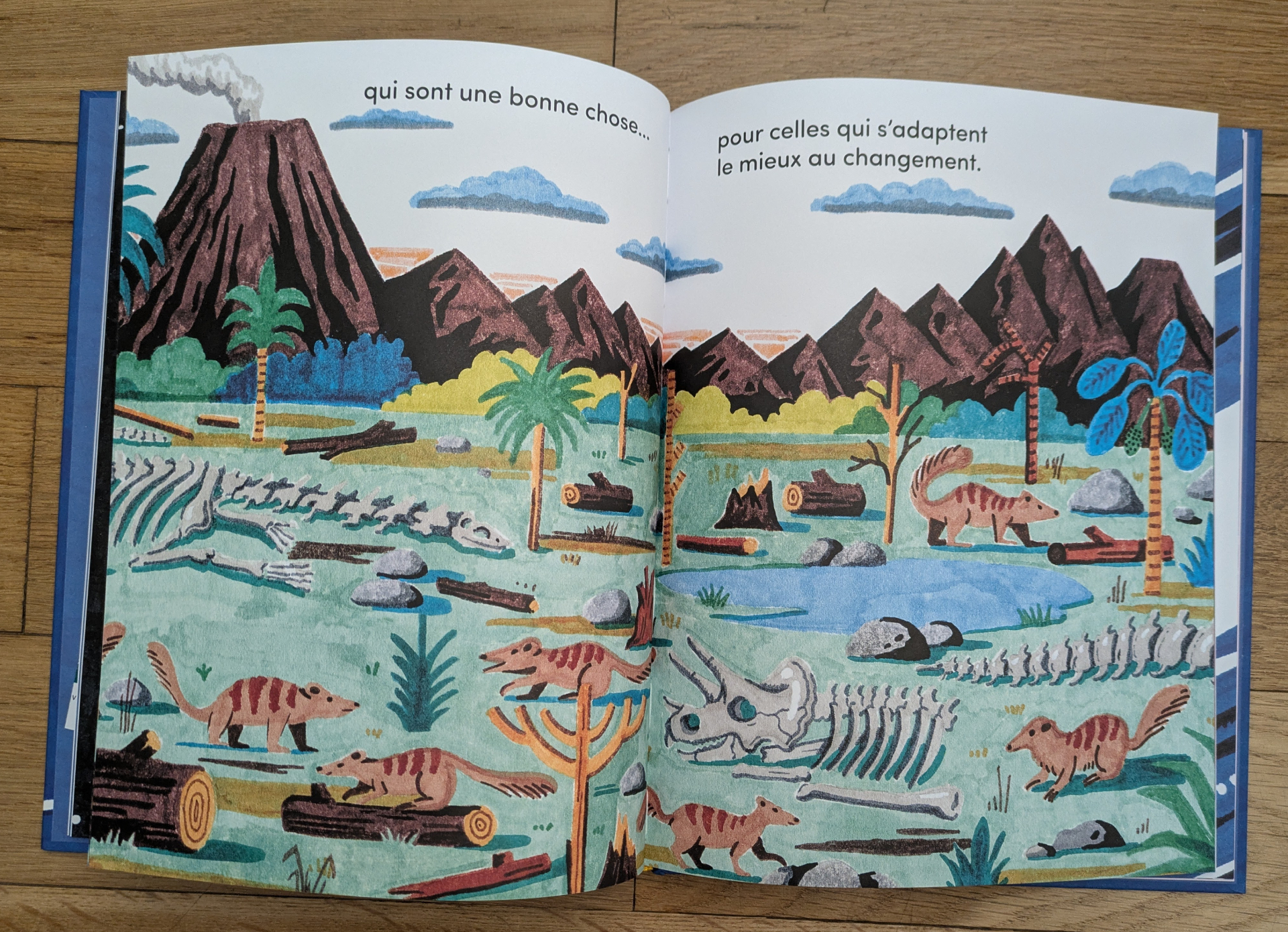 Des illustrations originales