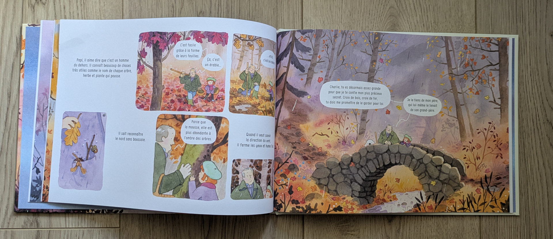 Des illustrations magnifiques
