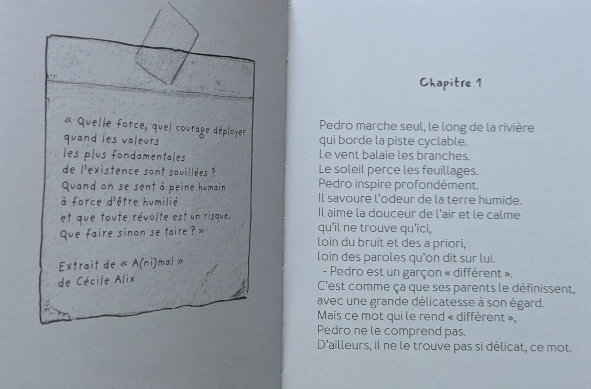 Des illustrations magnifiques