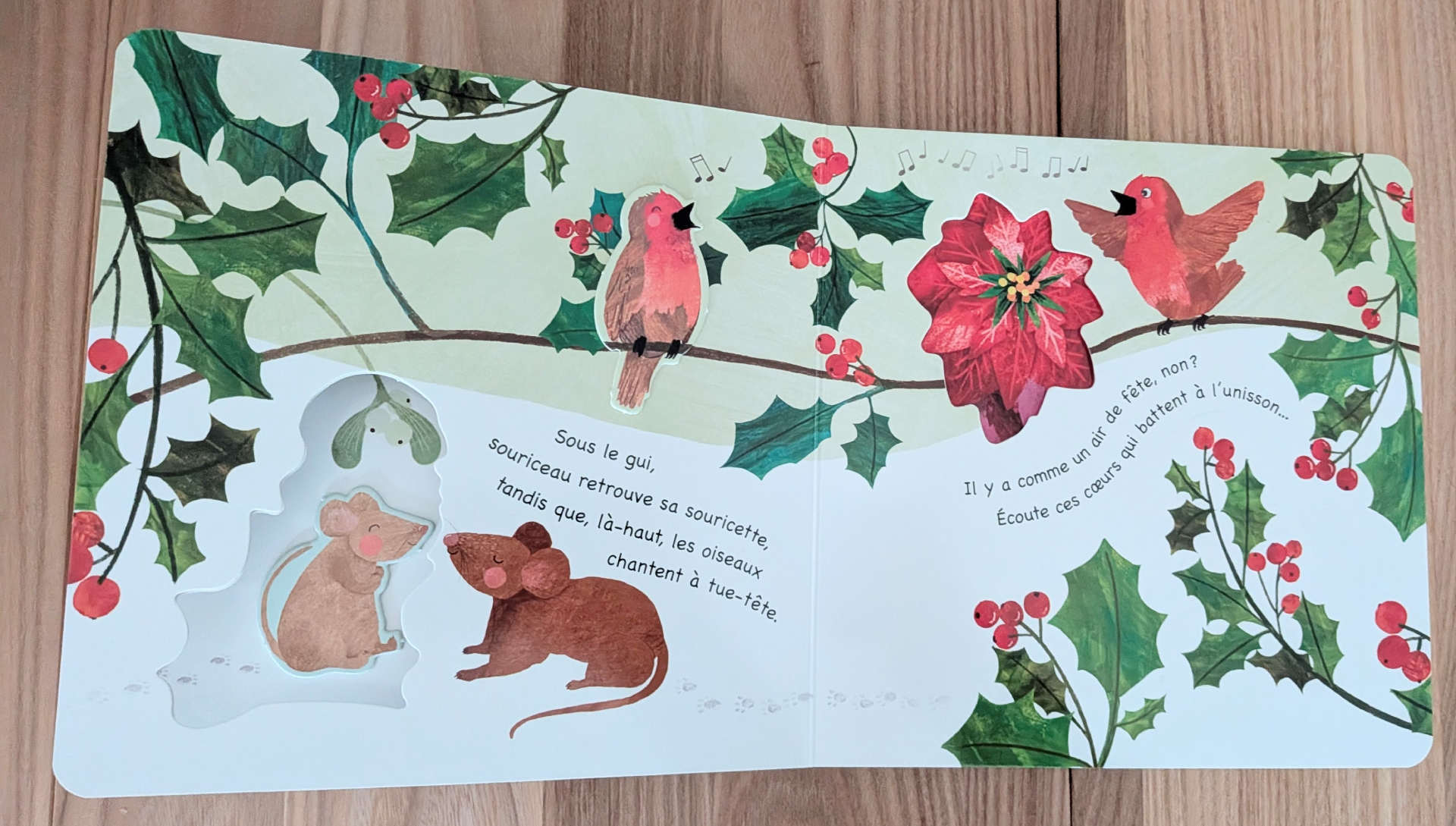 Des illustrations magnifiques