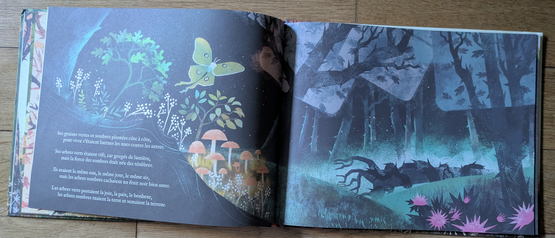 Des illustrations magnifiques