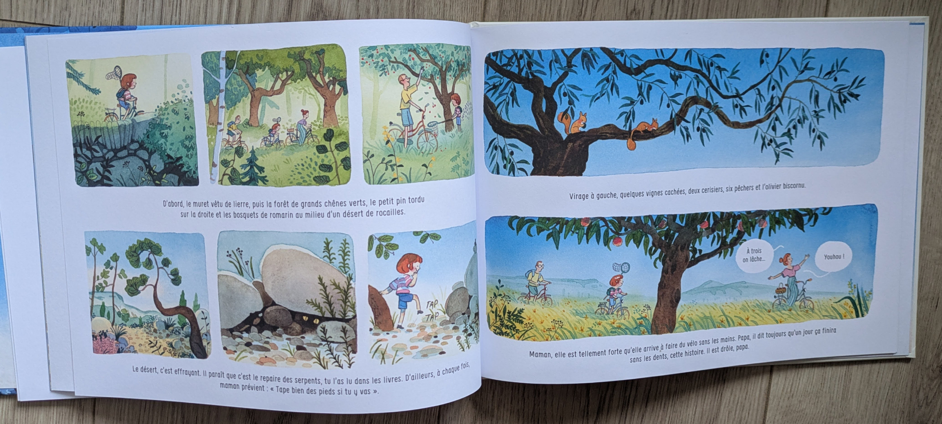 Des illustrations magnifiques