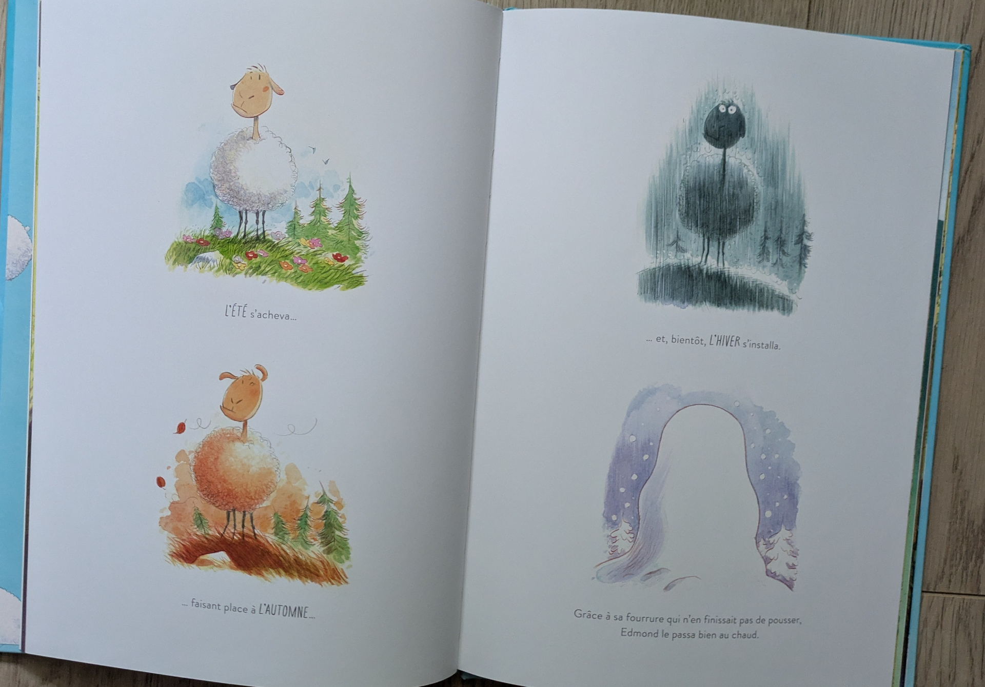 Des illustrations magnifiques