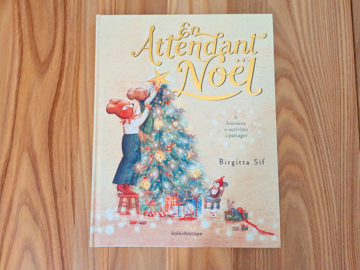 En attendant Noël: 6 histoires et activités à partager de Birgitta Sif