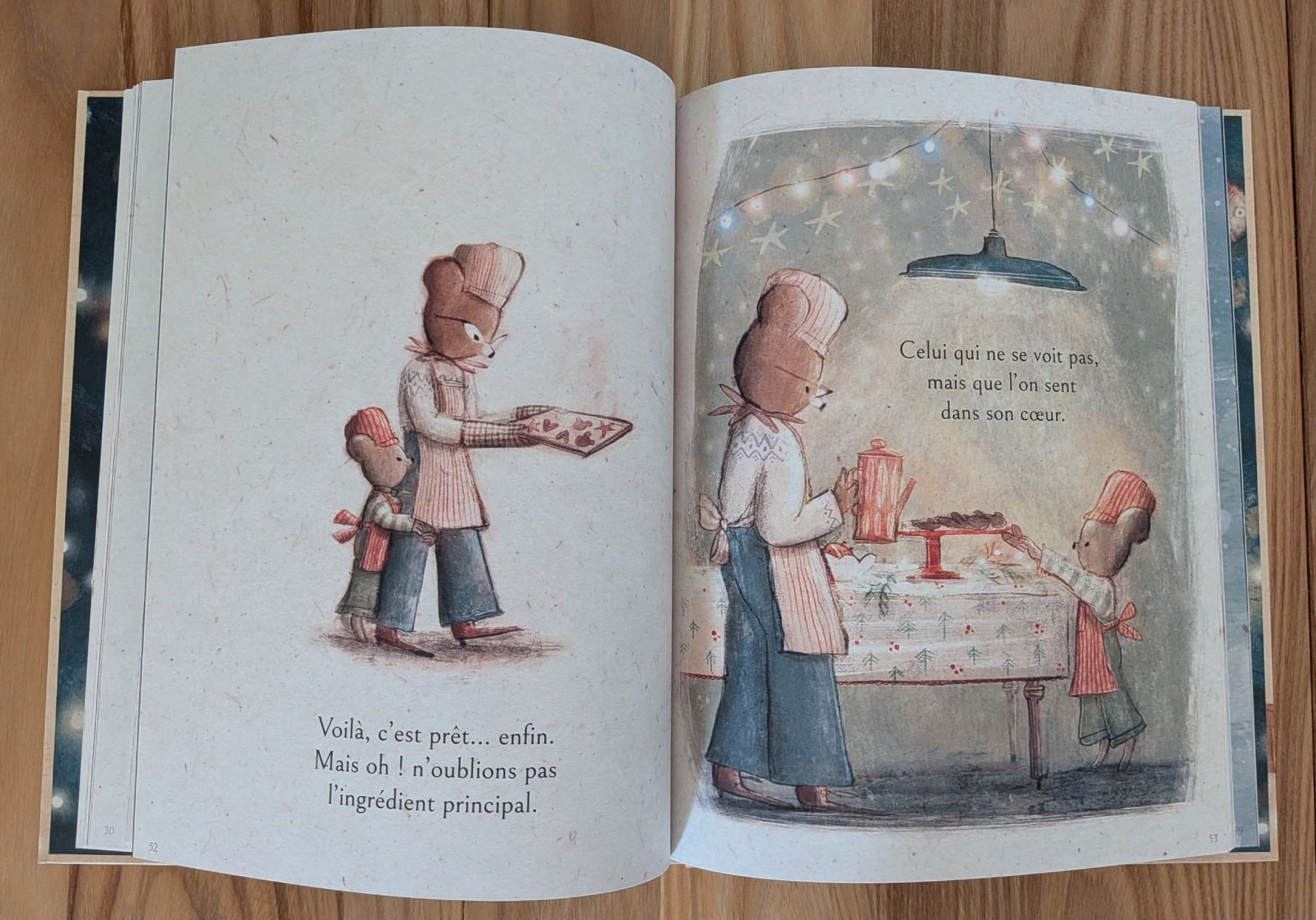 Des illustrations magnifiques
