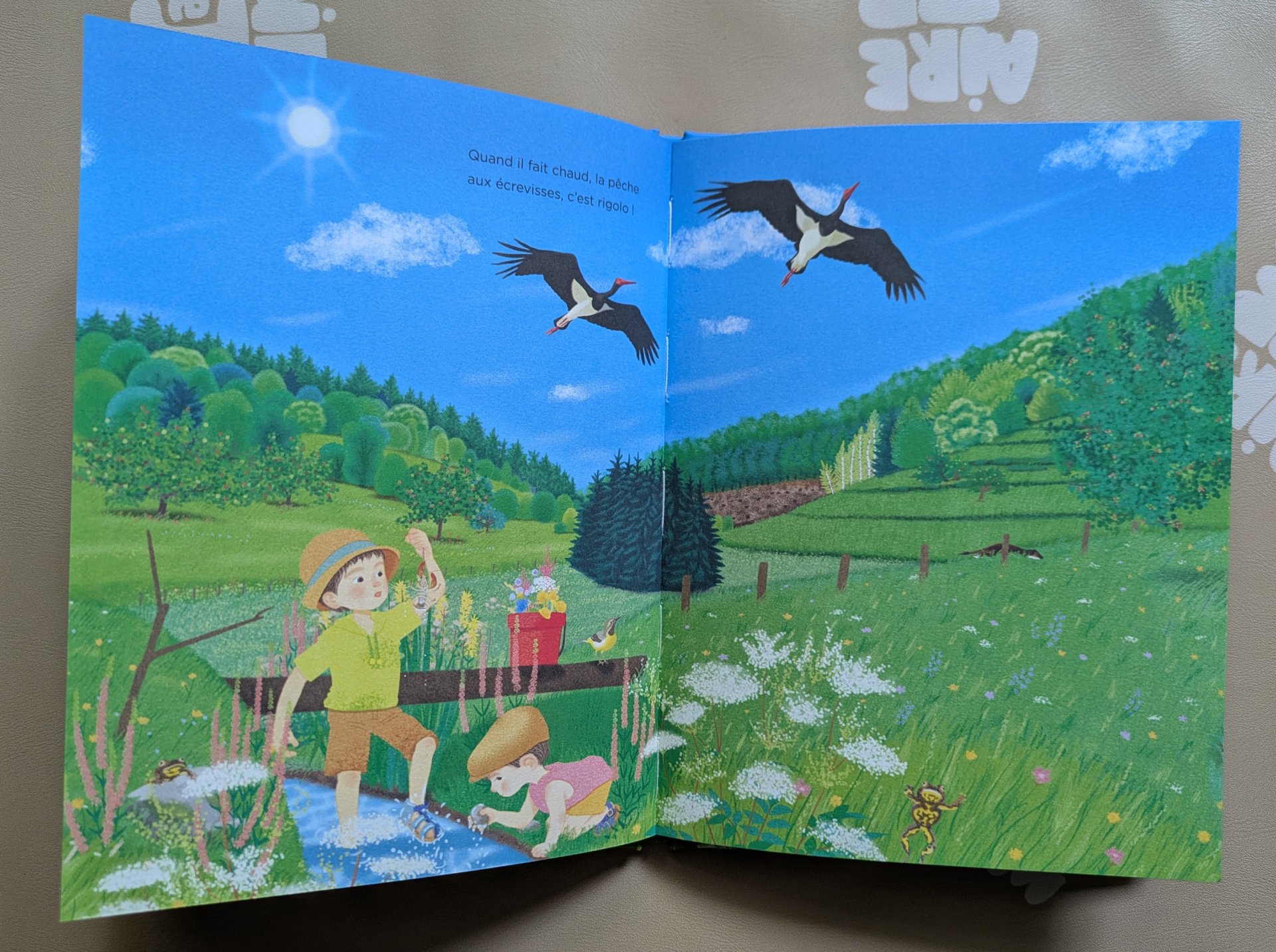 De belles illustrations
