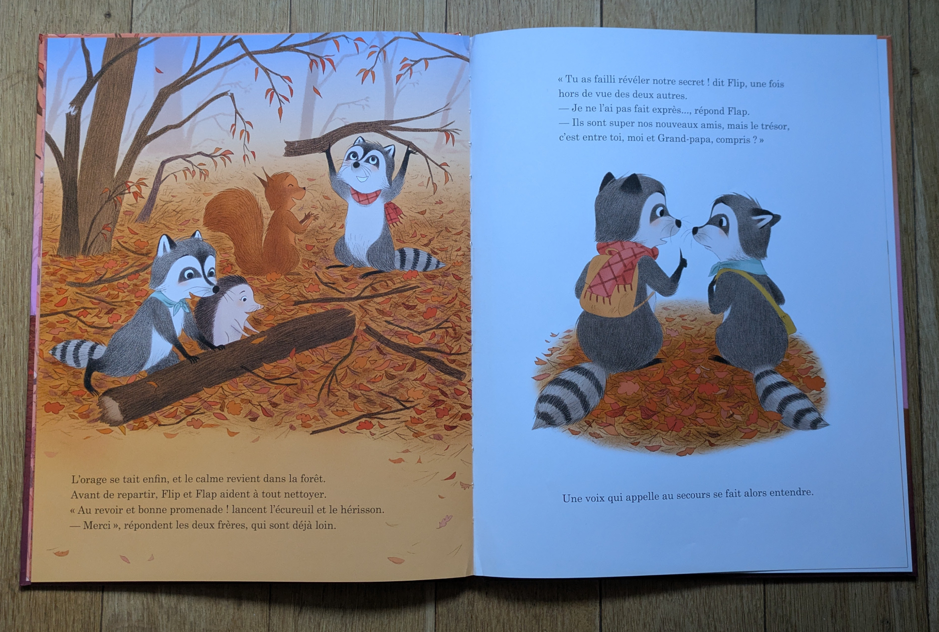 Des illustrations magnifiques