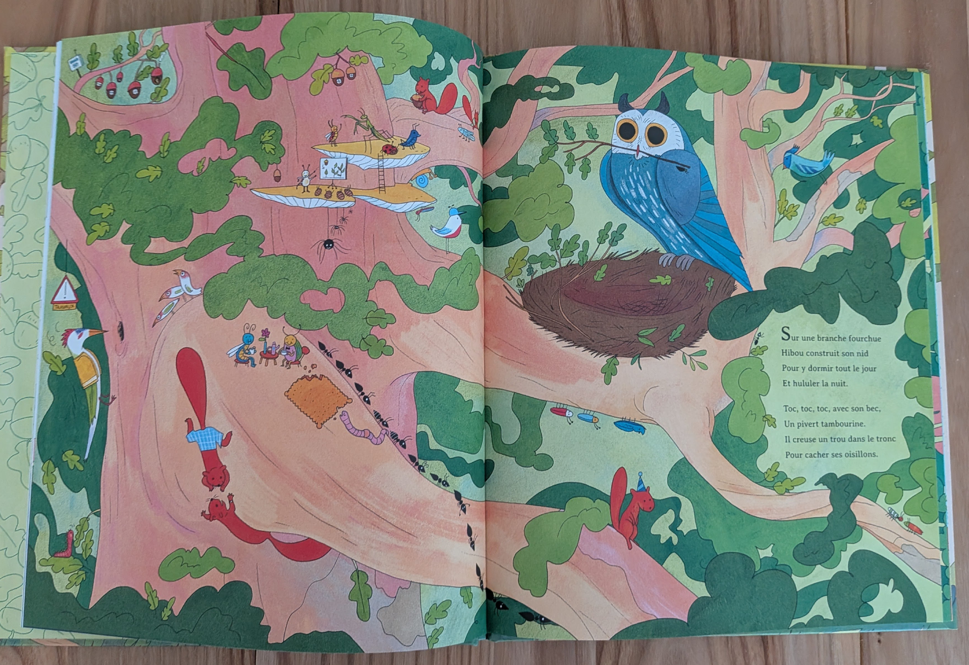 Des illustrations magnifiques