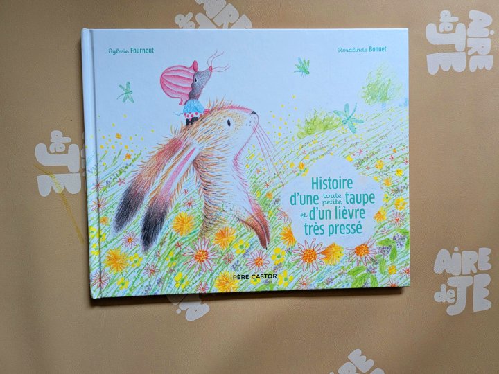 Histoire d'une toute petite taupe et d'un lièvre très pressé de Sylvie Fournout et Rosalinde Bonnet