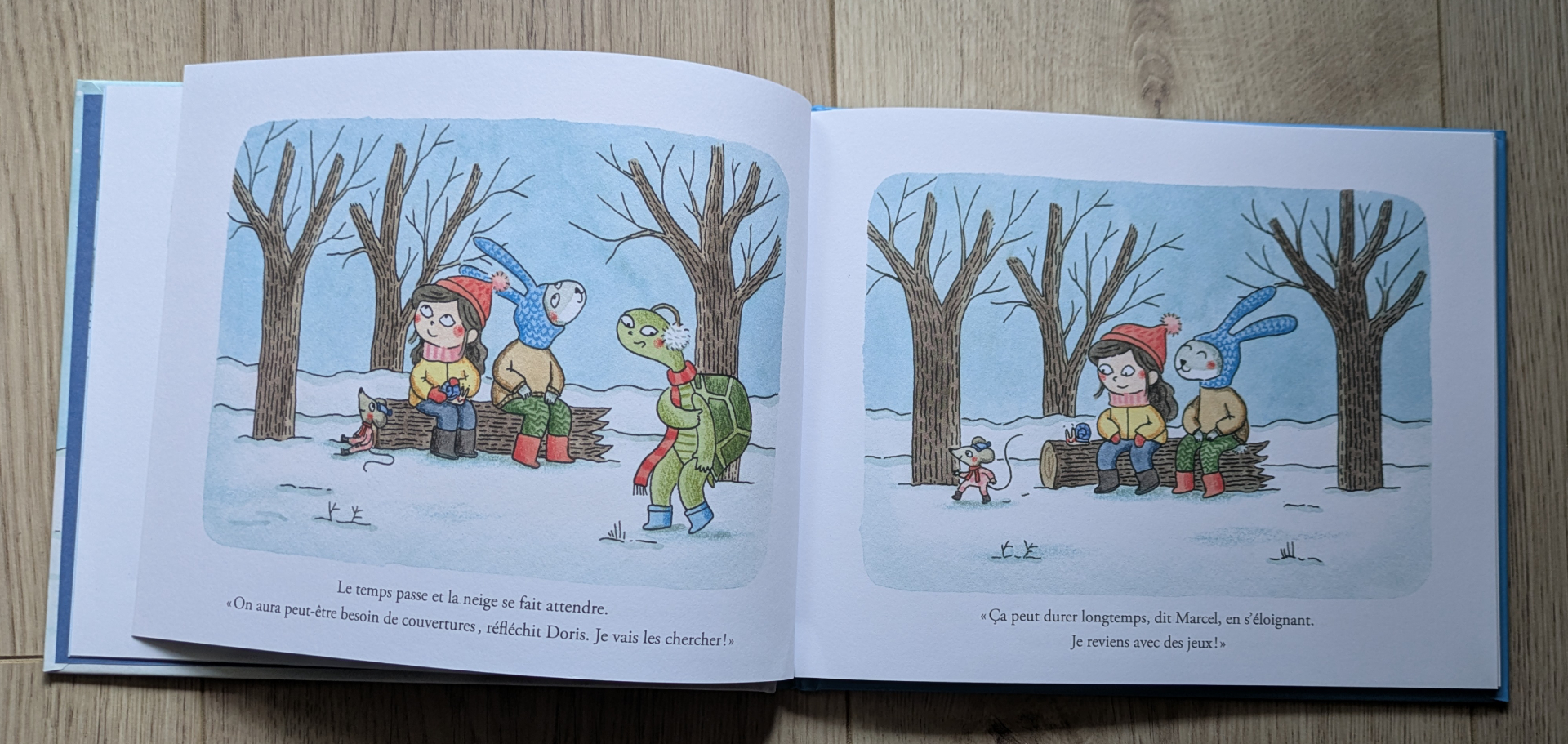 Des illustrations magnifiques